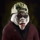7173