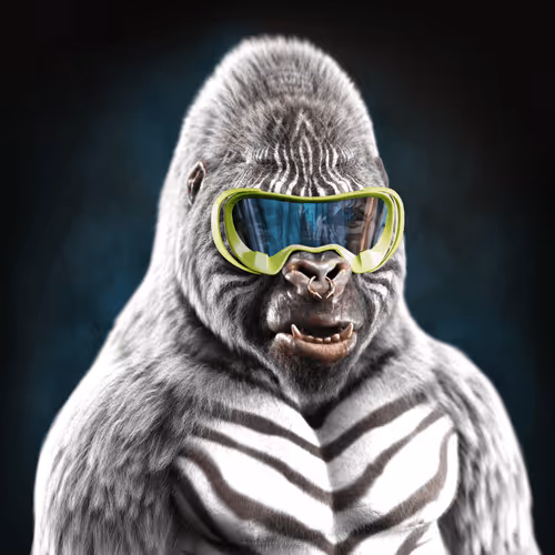 The Mighty Gorillas