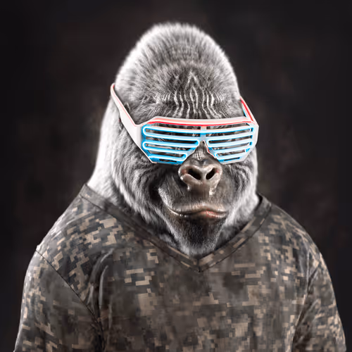 The Mighty Gorillas