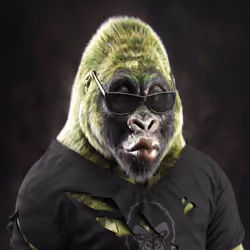 Mighty Gorilla #7084