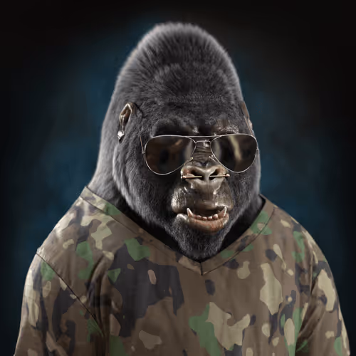 The Mighty Gorillas