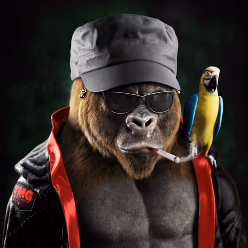 The Mighty Gorillas