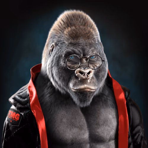 The Mighty Gorillas