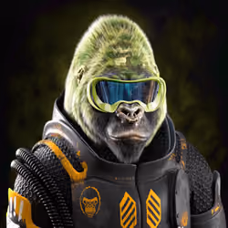 Mighty Gorilla #2895