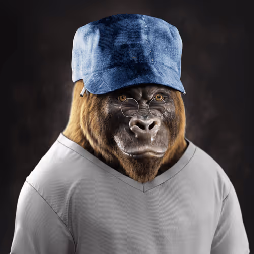 The Mighty Gorillas