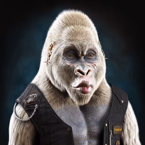 The Mighty Gorillas