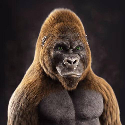 The Mighty Gorillas