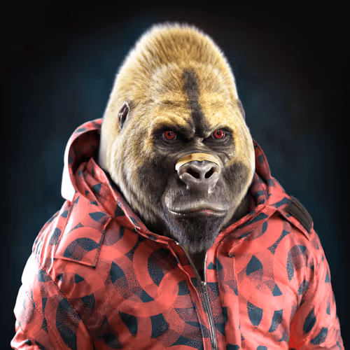 The Mighty Gorillas