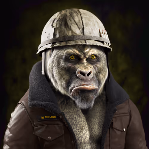 The Mighty Gorillas