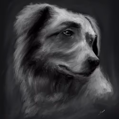 Emotional Journey V3