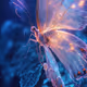 BIOME LUMINA #243/1000