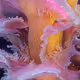 465