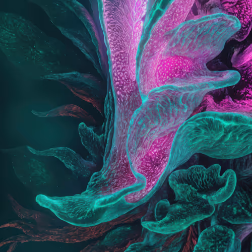 Dataland Biomelumina