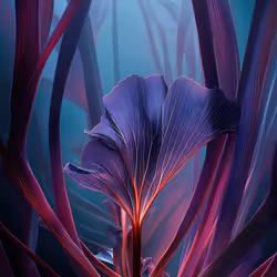 BIOME LUMINA #394/1000