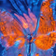 BIOME LUMINA #641/1000