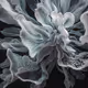 BIOME LUMINA #336/1000