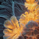 627
