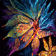 BIOME LUMINA #856/1000