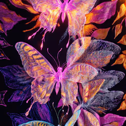 BIOME LUMINA #510/1000