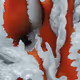 163
