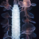BIOME LUMINA #655/1000