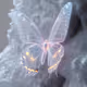 BIOME LUMINA #566/1000