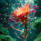 BIOME LUMINA #571/1000