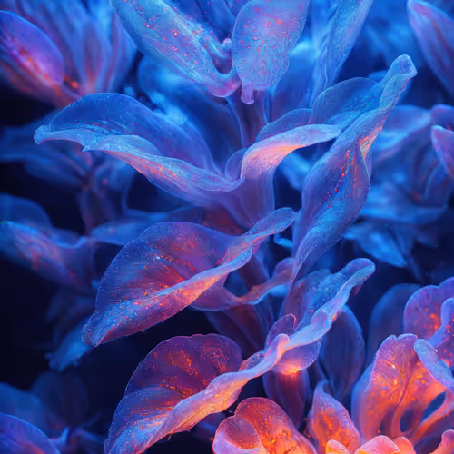 BIOME LUMINA #952/1000