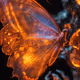 BIOME LUMINA #321/1000