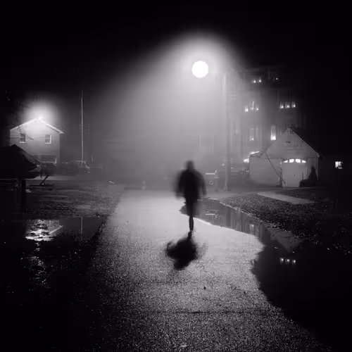Monochrome Chronicles