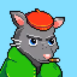 Rats #71
