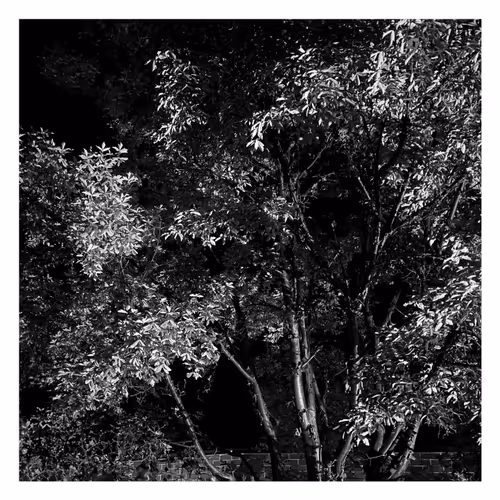 Stroll 2