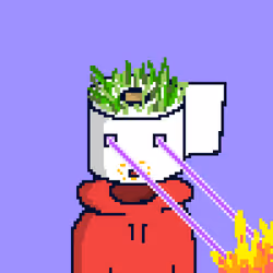 685