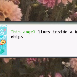 Angel #3316