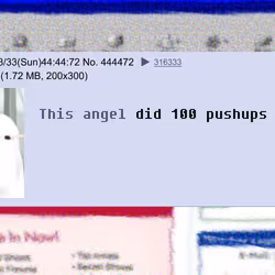 Angel #3406