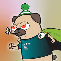 SUPER DOG #1129