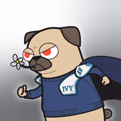 SUPER DOG #346