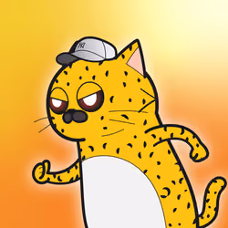SUPER CAT #650