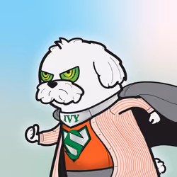 SUPER DOG #1732