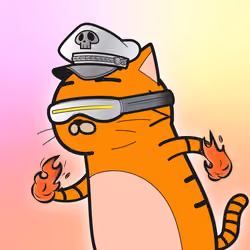 SUPER CAT #2027