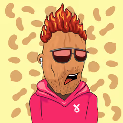 NUT #3926