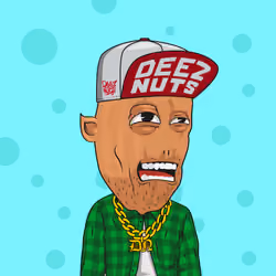 NUT #1555