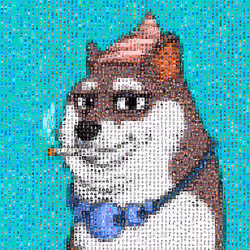 21