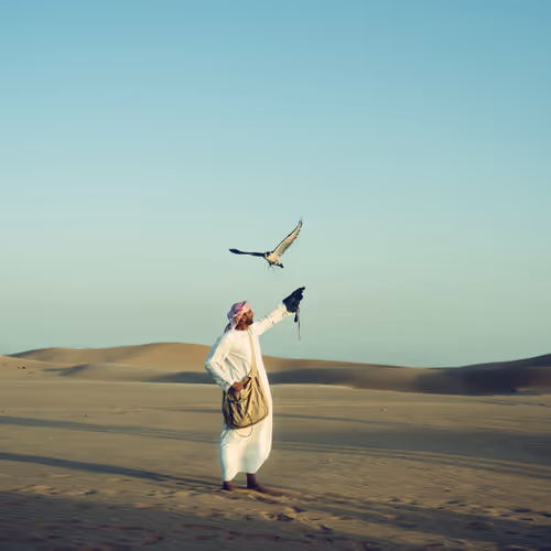 Uae First Immersion Airdrop Monaris