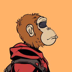 394