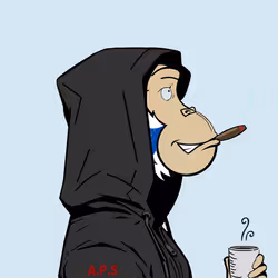 511