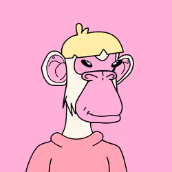 4848