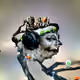 6002