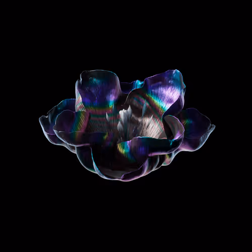 Heterosis
