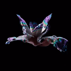 All Fallacious Dictum #1750